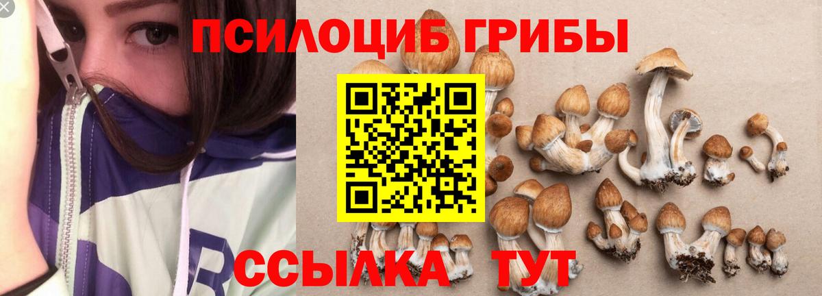 Псилоцибиновые грибы MAGIC MUSHROOMS Волжский